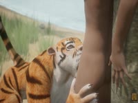 Tiger giving blowjob to a beastiality lover man